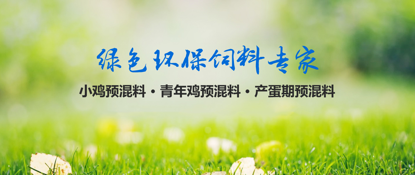 河南省大方重型機(jī)器有限公司(官網(wǎng))單雙梁起重機(jī)|門(mén)式起.