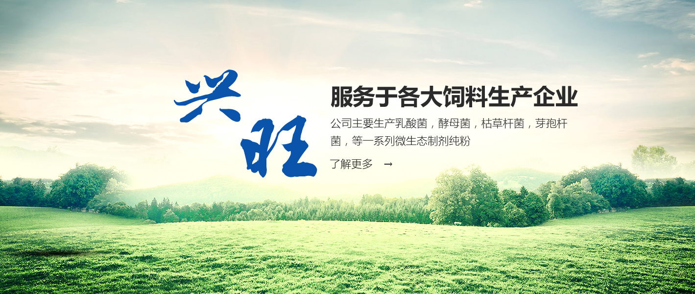 河南省大方重型機(jī)器有限公司(官網(wǎng))單雙梁起重機(jī)|門(mén)式起.